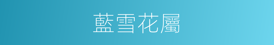 藍雪花屬的同義詞