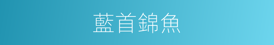 藍首錦魚的同義詞