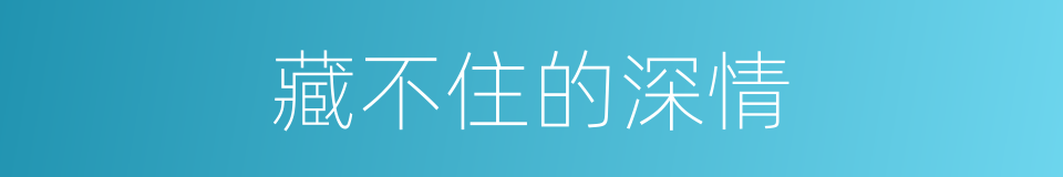 藏不住的深情的同义词