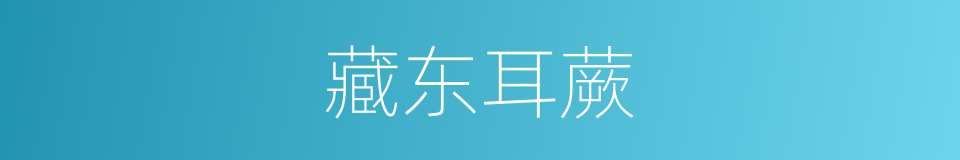 藏东耳蕨的同义词