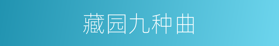 藏园九种曲的同义词