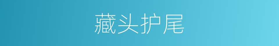 藏头护尾的意思