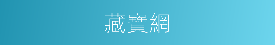 藏寶網的同義詞