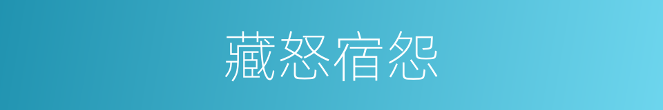 藏怒宿怨的同义词
