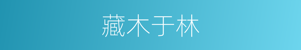 藏木于林的同义词