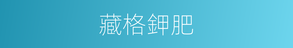 藏格鉀肥的同義詞