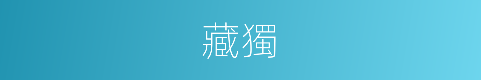 藏獨的意思