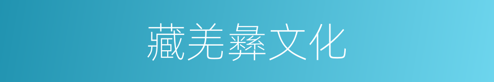 藏羌彝文化的同义词