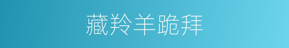 藏羚羊跪拜的同义词