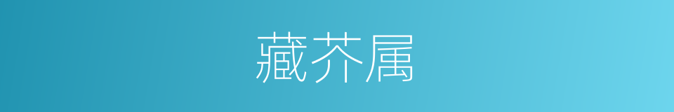 藏芥属的同义词