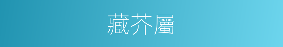 藏芥屬的同義詞