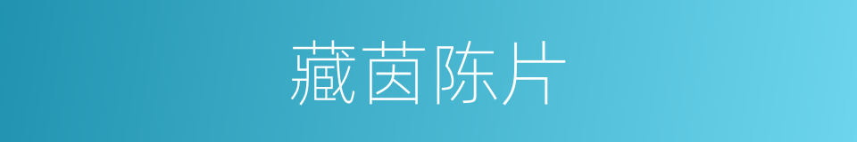 藏茵陈片的同义词