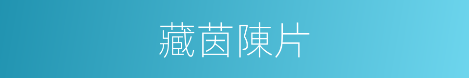 藏茵陳片的同義詞