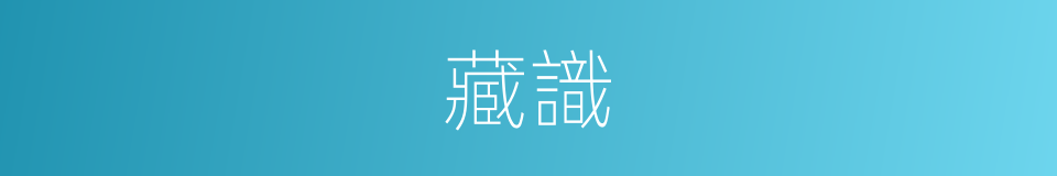 藏識的意思