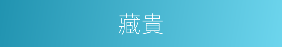 藏貴的同義詞