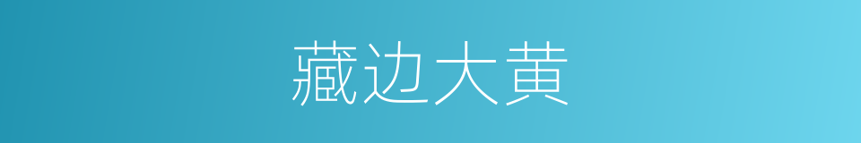 藏边大黄的同义词