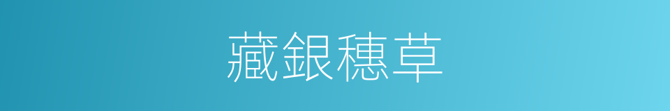 藏銀穗草的同義詞