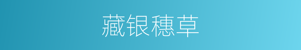 藏银穗草的同义词