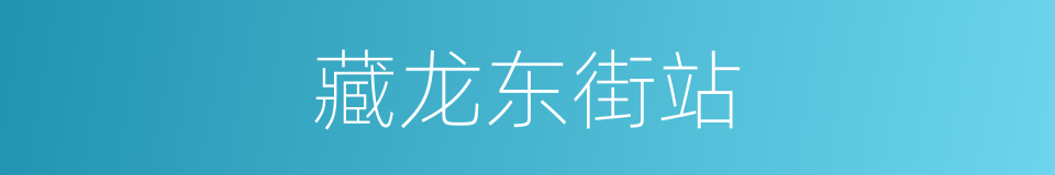 藏龙东街站的同义词