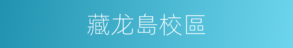 藏龙島校區的同義詞