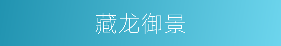 藏龙御景的同义词