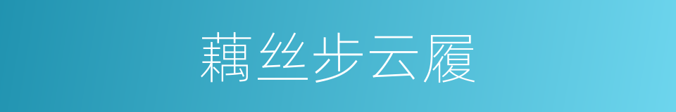 藕丝步云履的同义词