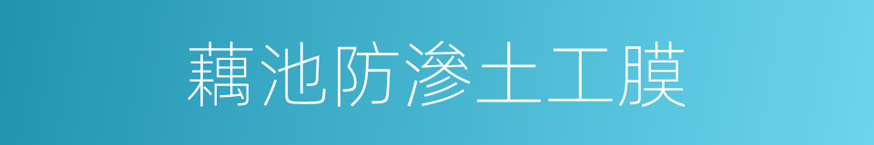 藕池防滲土工膜的同義詞