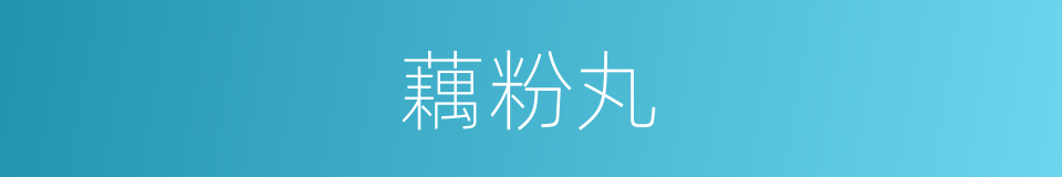 藕粉丸的同义词