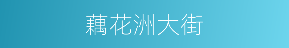 藕花洲大街的同义词