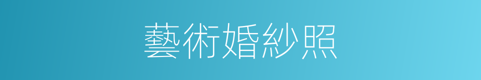 藝術婚紗照的同義詞