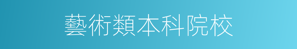 藝術類本科院校的同義詞