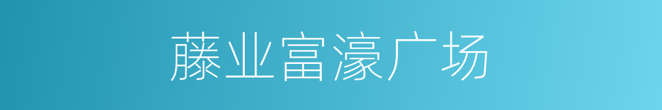 藤业富濠广场的同义词