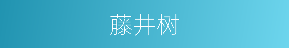 藤井树的同义词