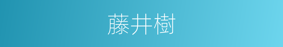 藤井樹的同義詞