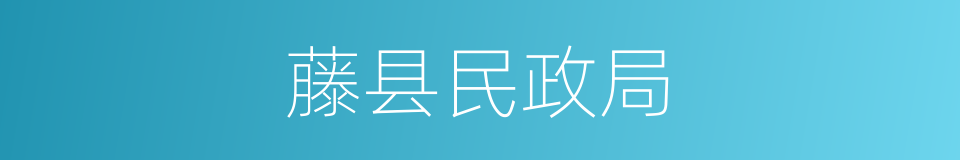 藤县民政局的同义词