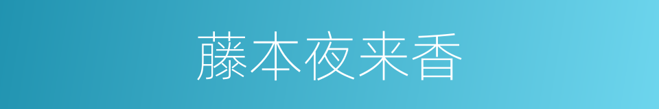 藤本夜来香的同义词