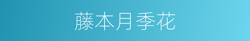 藤本月季花的同义词