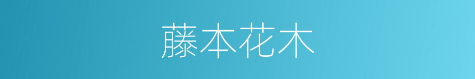 藤本花木的同义词