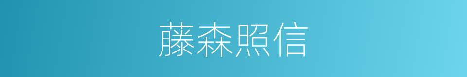 藤森照信的同义词