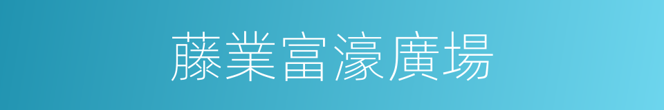 藤業富濠廣場的同義詞