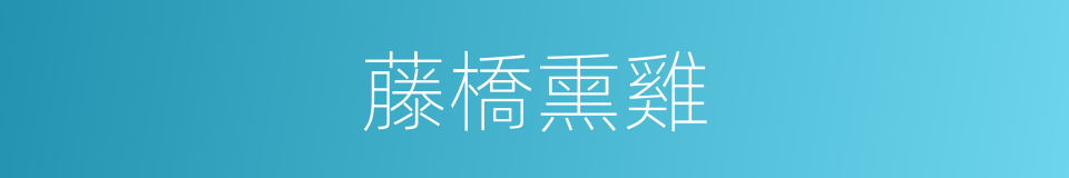 藤橋熏雞的同義詞