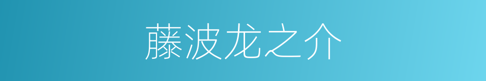 藤波龙之介的同义词