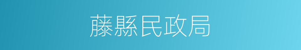 藤縣民政局的同義詞