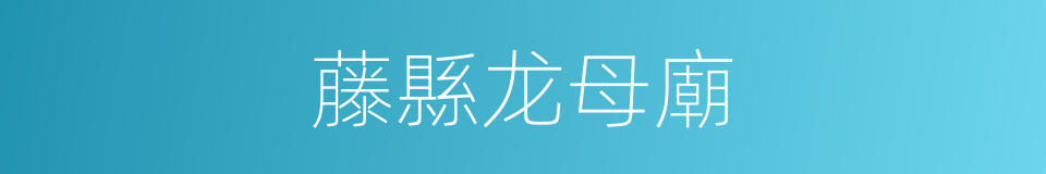 藤縣龙母廟的同義詞