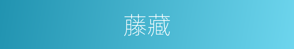 藤藏的同义词
