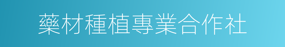 藥材種植專業合作社的同義詞