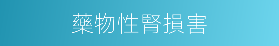 藥物性腎損害的同義詞