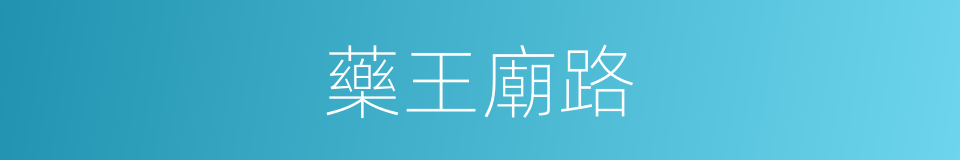 藥王廟路的同義詞