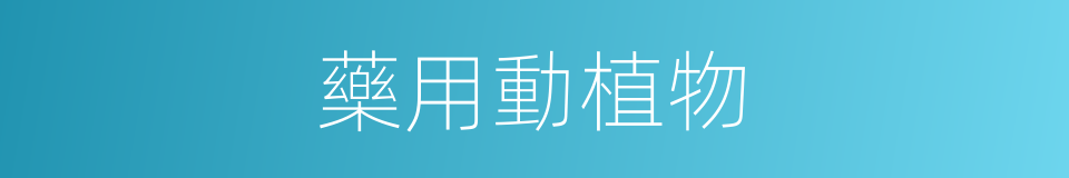 藥用動植物的同義詞