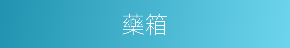 藥箱的意思